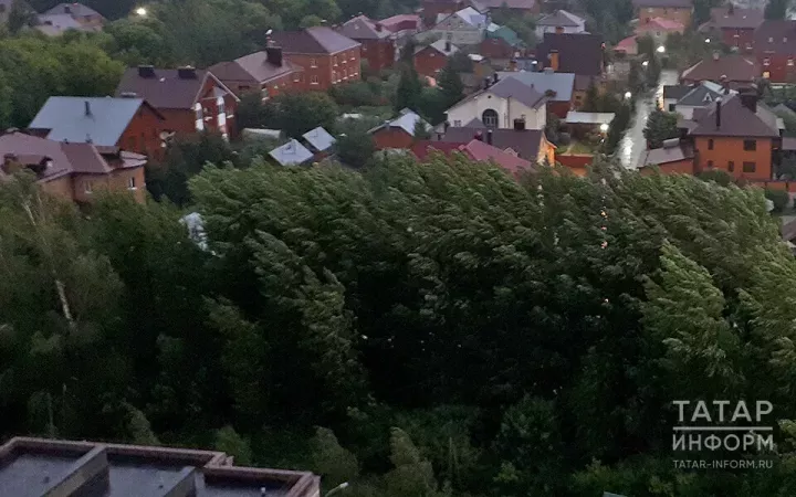 Женщина погибла, ища укрытия от непогоды в теплице