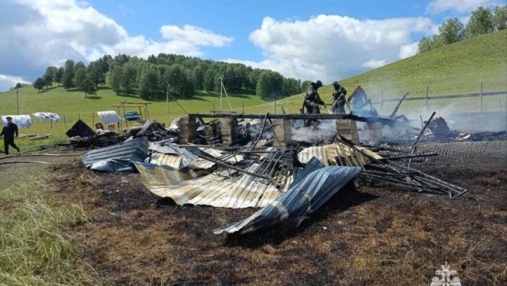Трое детей погибли при пожаре