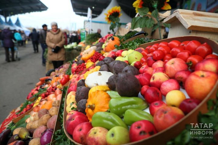 Как сохранить свёклу до весны: основные правила хранения