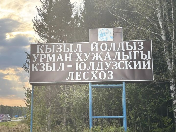 История и будни лесничества в Рыбно-Слободском районе