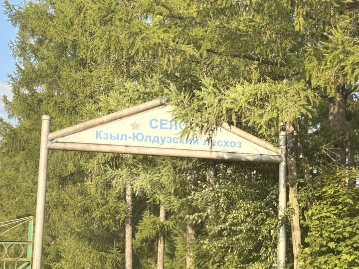 Как в лесничестве организована защита лесов от огня