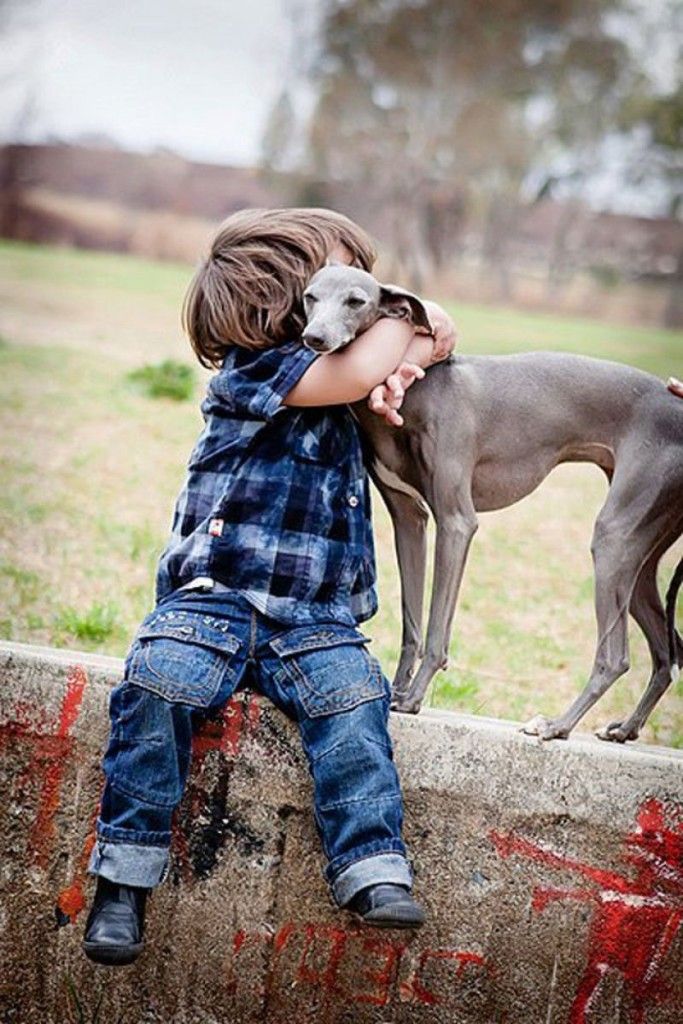 Мальчик и две собаки. Собака для детей. Рпьенок и собака. Для детей. Животные. Фотосессия ребенка с собакой.