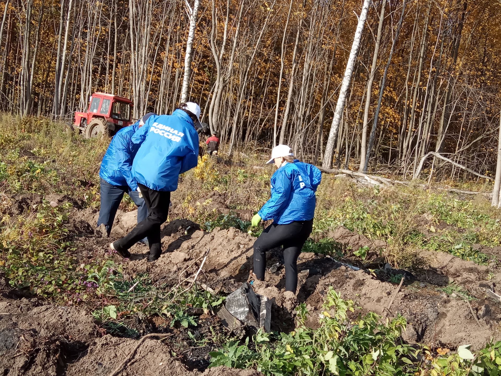 Сегодня на Ново-Арышском участке посадили 5 тысяч саженцев дуба