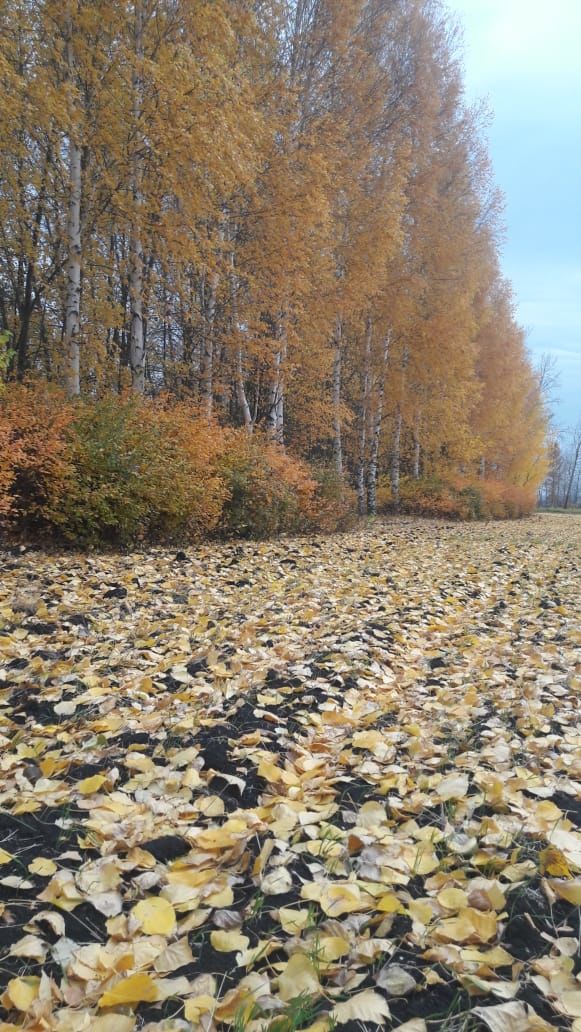 Исламия Асадуллина "Очень люблю фотографировать, особенно природу".