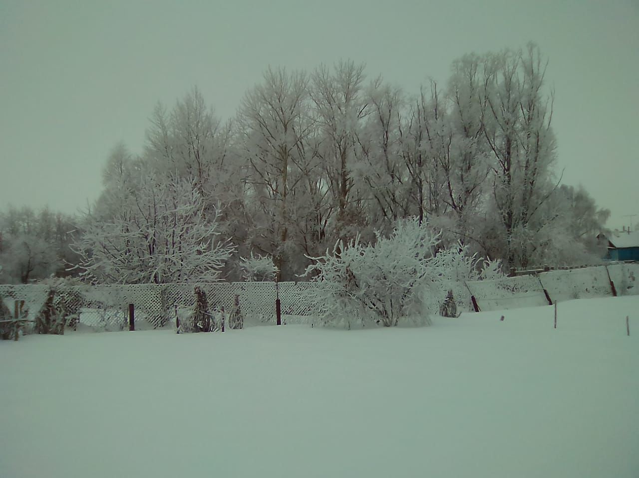 Исламия Асадуллина "Очень люблю фотографировать, особенно природу".