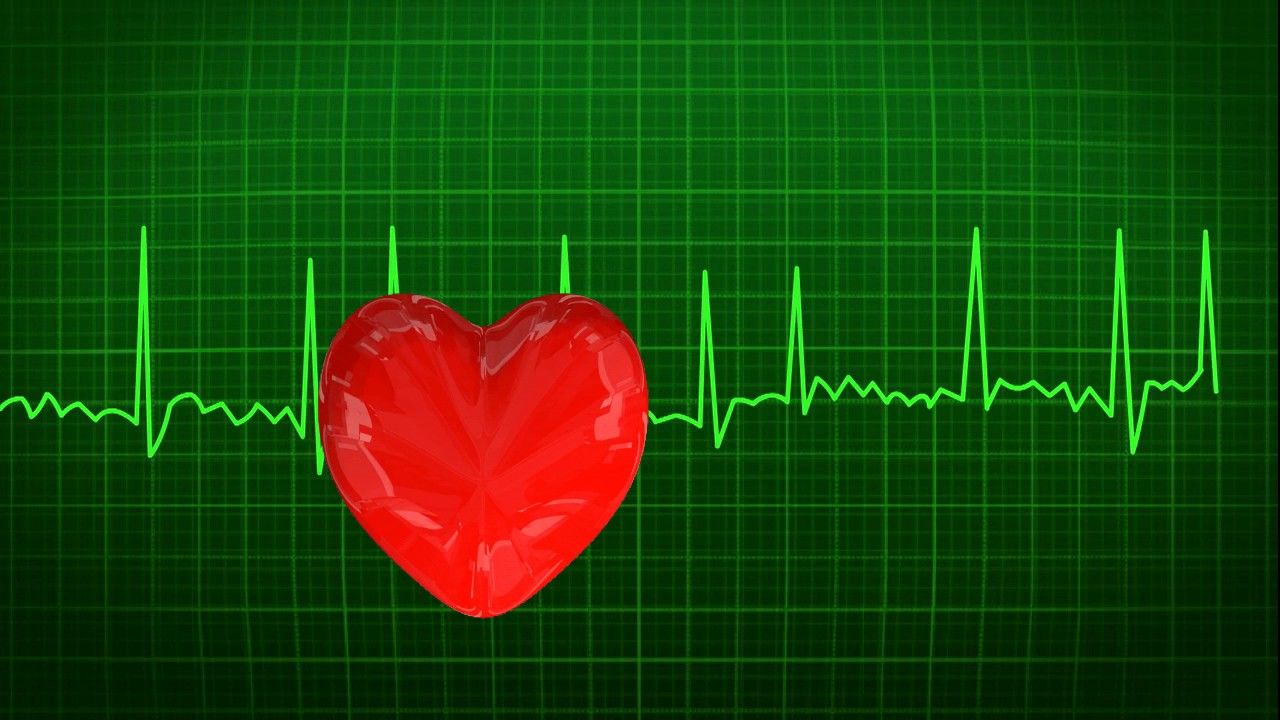 Сердцебиения 23. Кардиограмма сердца. ЭКГ сердца. "Ритм" (сердечный). Биение сердца.