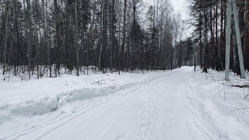 В Рыбно-Слободском районе похолодает до -18 градусов