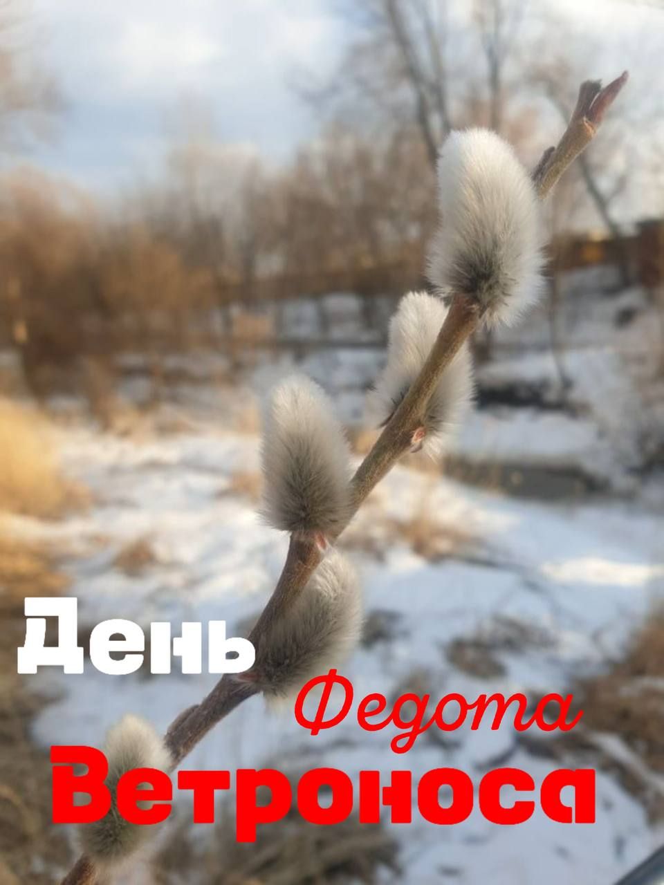 Народные приметы на 15 марта 2025 года: что можно и нельзя делать в день Федота Ветроноса