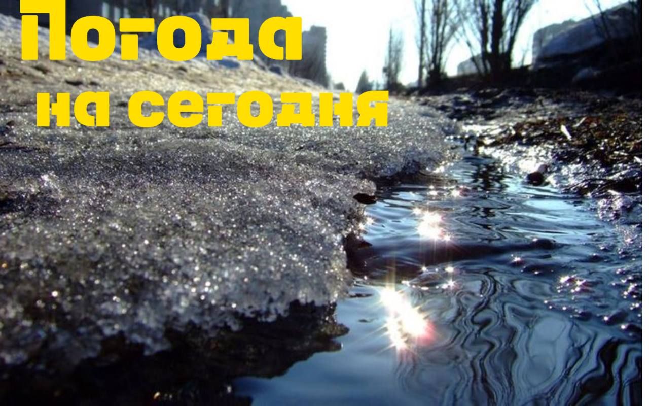 В Рыбно-Слободском районе воздух прогреется до +9