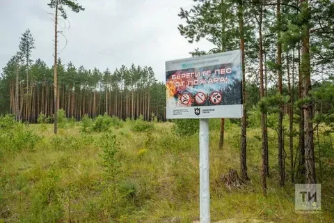 Особый противопожарный режим планируют ввести в Татарстане с  апреля