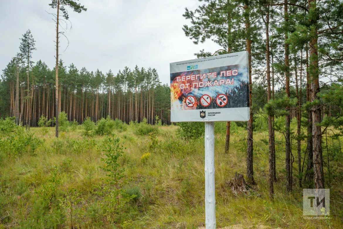 Начало пожароопасного сезона в лесах Татарстана откроют 15 апреля