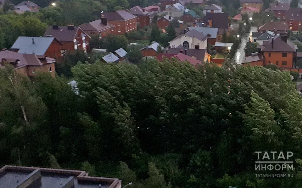 Женщина погибла, ища укрытия от непогоды в теплице