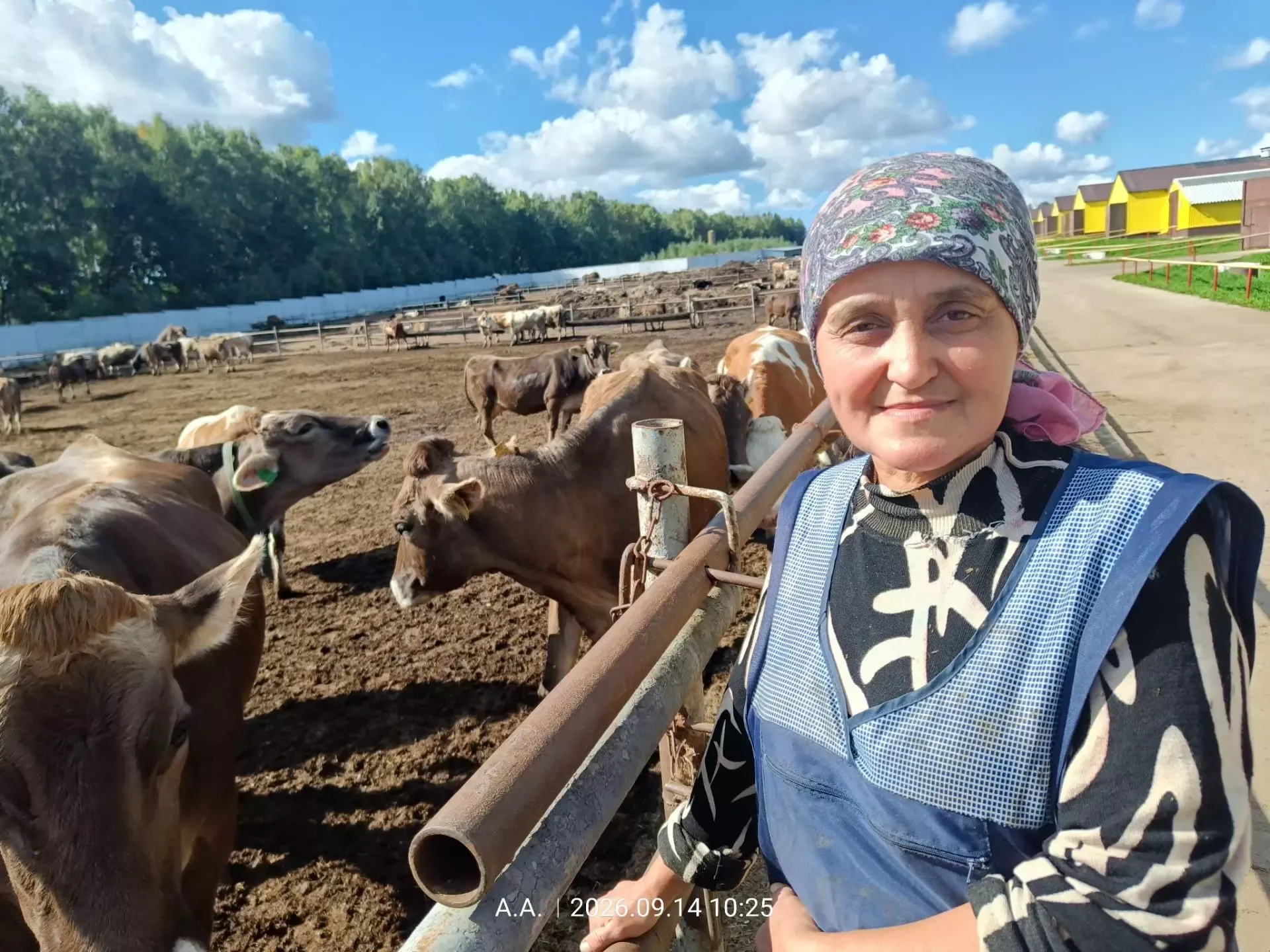 Эльмира Галиева: «Яратмасам, беренче көннән үк биредә хезмәт куяр идеммени?»