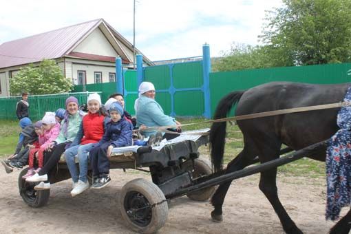 Балык Бистәсе районы  Балтач авылы Сабантуеннан  фоторепортаж