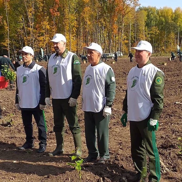 В Ново - Арышском лесу будет расти и президентская сосна