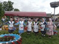В селе Нижний Тимерлик Рыбно-Слободского района прошёл большой литературно- музыкальный  праздник