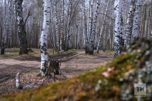 Погода на 20 ноября в Рыбной Слободе