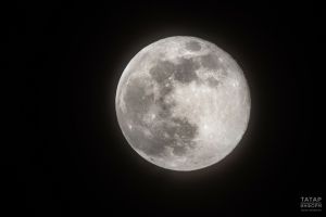 Астрология: ключевые события недели для каждого знака