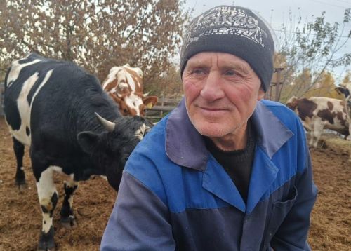 «Без скота в хлеву я чувствую себя плохо», — признаётся Зиннур Яруллин.