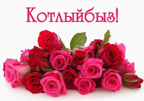 Декабрь аенда Котлы Бөкәш мәктәбенең математика укытучысы Дильшат Зиннур кызы Вафинаның күркәм юбилее.