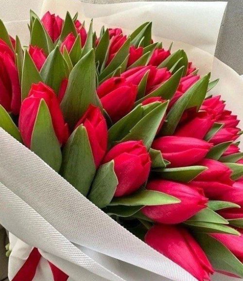 Балык Бистәсендә гомер итүче Фәрит Хәмит улы ГАДЕЕВның 29 сентябрь көнне күркәм юбилее.