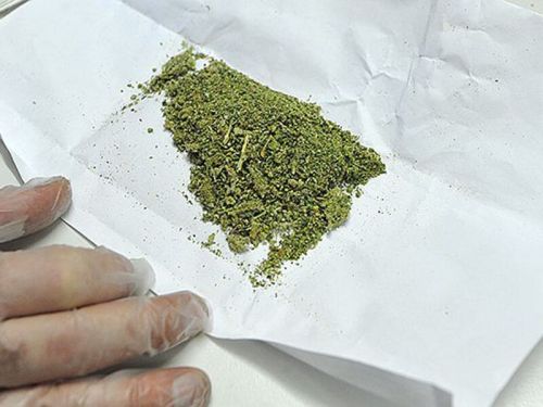 Житель Татарстана  выращивал у себя дома марихуану