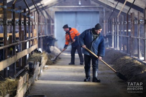 Какую поддержку могут получить сельские предприниматели