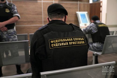 В Татарстане мужчина погасил долг в 580 тысяч после изъятия телят