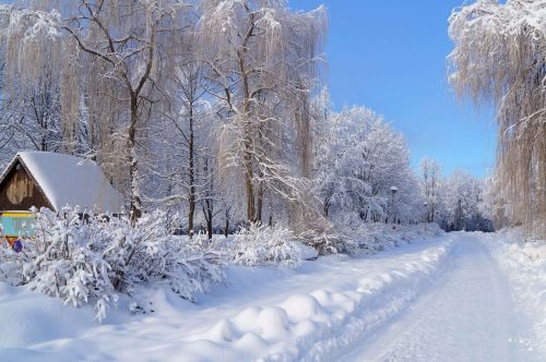 Гороскоп на 18 февраля: Весов ждут творческие идеи