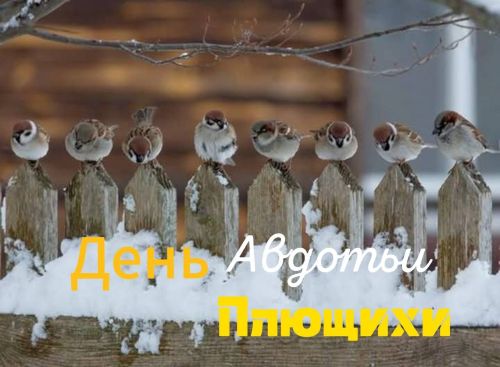 Народные приметы на 14 марта 2025 года: что можно и нельзя делать