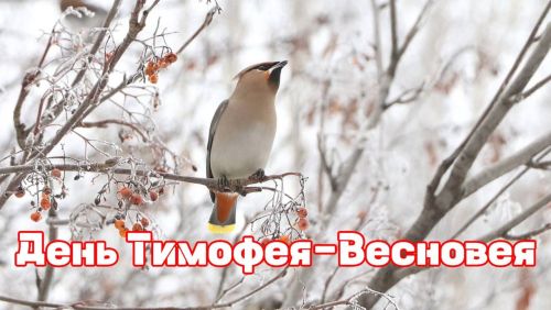 Приметы, праздники и события на 6 марта