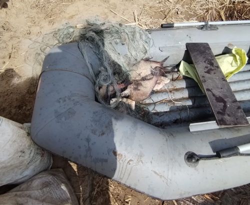 В Казани сотрудниками транспортной полиции выявлен факт незаконного вылова рыбы