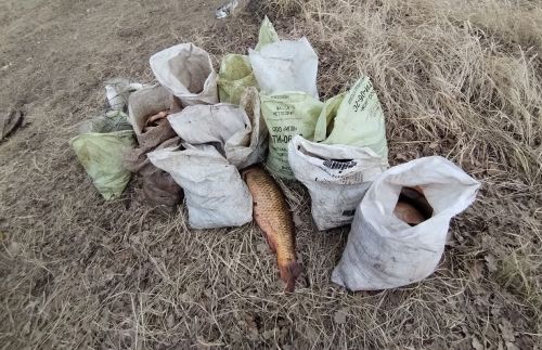 В Казани сотрудниками транспортной полиции выявлен факт незаконного вылова рыбы