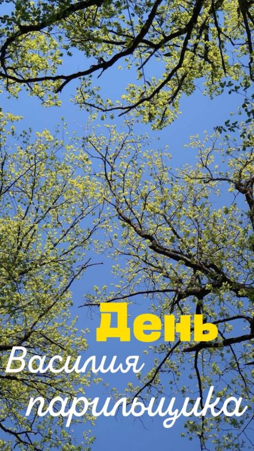 25 апреля – что нельзя и что можно делать в день Василия-парильщика