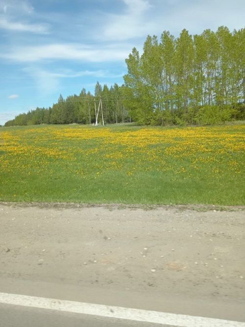 Ждать ли заморозков?