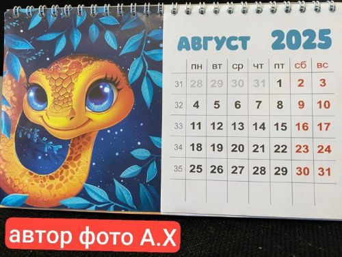 В августе татарстанцы смогут рассчитывать на дополнительные выходные?