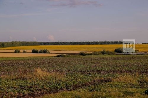 В 2025 году в Татарстане выделили земельные участки почти 2 тысячам многодетных семей