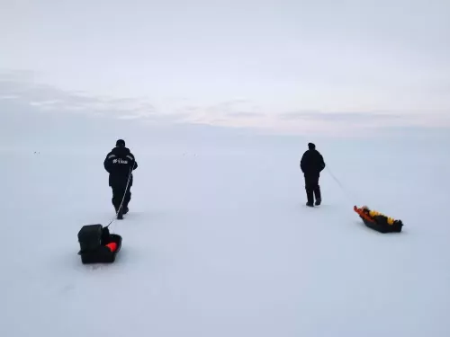 Язгы боз  мәкерле һәм куркыныч