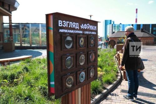 В Казанском зооботсаду появились четыре новые хищные птицы