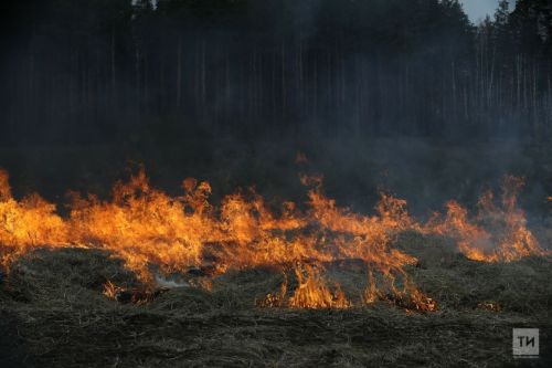 В Рыбно-Слободском районе зафиксированы возгорания сухой травы