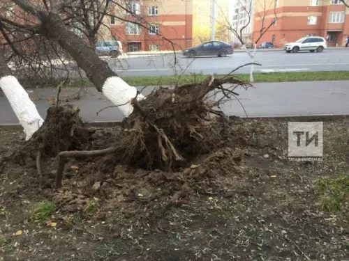 Жительница Татарстана получила травму из-за разрушения остановки ветром