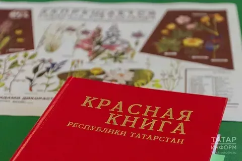 Новое издание Красной книги Татарстана на татарском языке