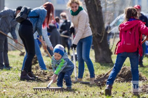 Экологический двухмесячник в Татарстане: итоги первого месяца