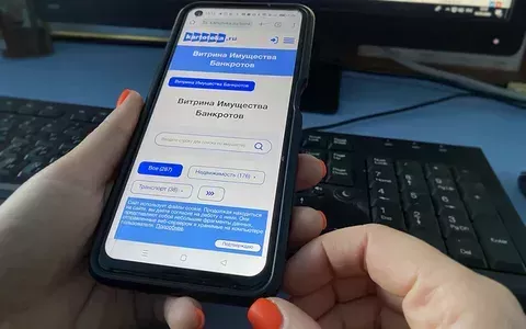 Как работает «Витрина имущества банкротов» и где доступны объекты