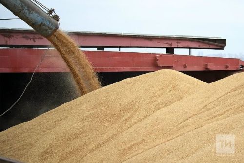 Подготовка к приемке нового урожая: планы и задачи