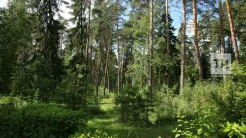 Балыкбистәлеләр янгын куркынычсызлыгы кагыйдәләрен үтәргә онытмагыз!