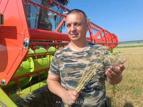 Как проходит уборочная кампания в Рыбно-Слободском районе