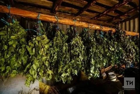 Мунчага себеркесенен кайсы файдалы
