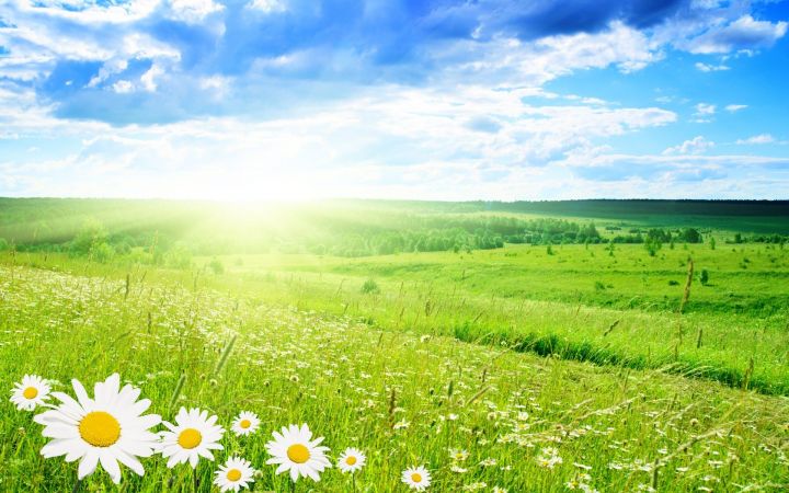 Сухой июнь и жаркий август: Ученые спрогнозировали погоду на конец весны и лето в Татарстане