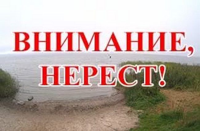 В Рыбной Слободе  с 25 апреля начинает действовать запрет  на ловлю  водных биологических ресурсов